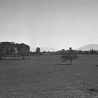 Island City, Golf Course 2