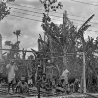 Leyte Camp, Set-up 2