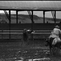 1991 Eastern Rodeo, Bronco Riding 06