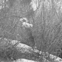 Reuter Group-D, Snow 6