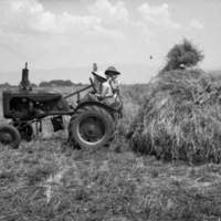 Elgin Farm, Bernal Hug Sr. 1