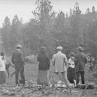 Reuter Group-D, Woods 8