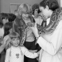 1985 Ackerman Elementary School, Safari 02