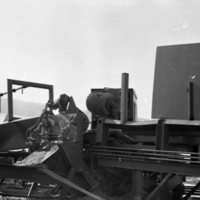 1980 Log Plant 03