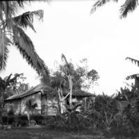 Leyte Local Houses 6