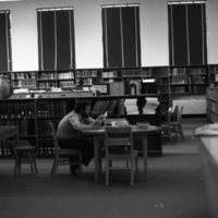 1981 Pierce Library Usage 02