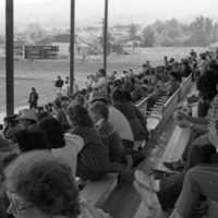 1984 Football Fans 02