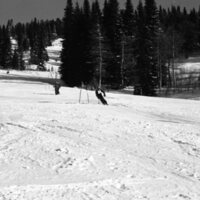 1987 Skiing, Competitive 02