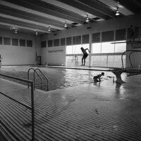 1972 Swimming, Diving Practice 04