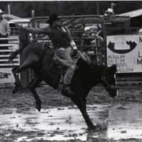 1991 Eastern Rodeo, Bronco Riding 01