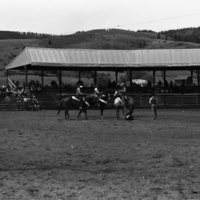 1981 Rodeo, Calf Roping 01