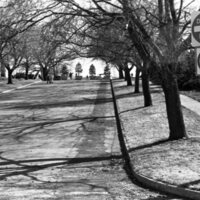 1985 Campus, 8th Street Closure 04