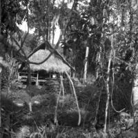 Dobodura Hut Sleeping Quarters 1