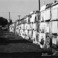 New Orleans Cemetery 1
