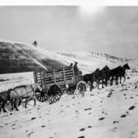 1912 Idaho, Elk Imports
