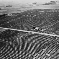 Imbler, Apple Orchards