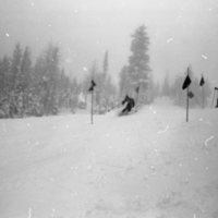 1981 Skiing, Men's Competition 25