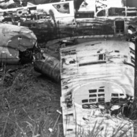Japanese Airplane Wreckage