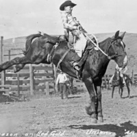 Union Stock Show, 1949 2