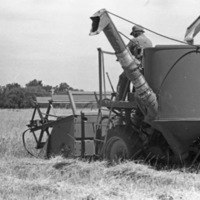 Island City, Wheat Combining 1