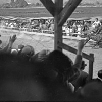 Union Stock Show, 1913 1