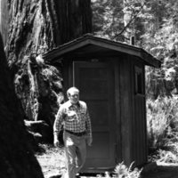 1980 Redwoods 06