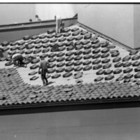 1989 Loso Hall Construction, Roof 15