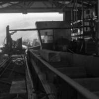 1980 Log Plant 16