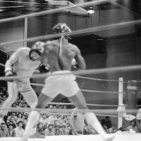 1983 Boxing 05