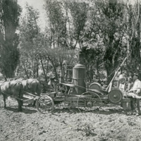 Union, Wood Saw