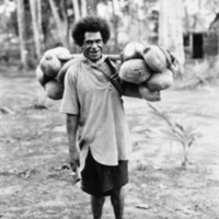 Finchhaffen Native Sells Coconuts