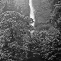 Reuter Group-XX, Multnomah 4