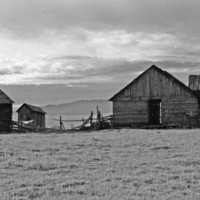 1985 Agriculture, Ranch 02