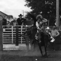 1979 Rodeo, Bronco Riding 01