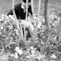 1986 Employee, Groundskeeper 02