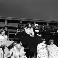 1978 Baseball Fans
