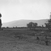 Island City, Golf Course 6