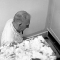 1986 Employee, Custodian