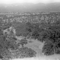 Hunter-Liggett Terrain 1