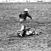 1986 Springfest, Rodeo Roping 03