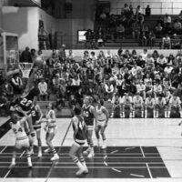 1977 Basketball Action 13