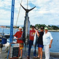 1992 Fletcher, Blue Marlin