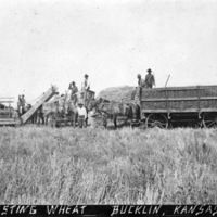 Kansas, Wheat Harvesting