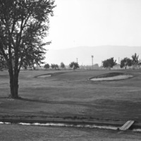 Island City, Golf Course 11