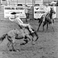 1978 Rodeo, Bronco Riding 15