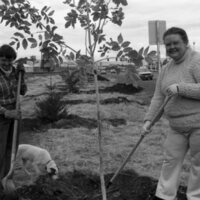 1985 Soroptimist Tree Plantings 12