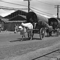 Dagupan, Street Scene 3