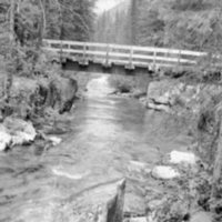 1985 Oregon, Bridges 01