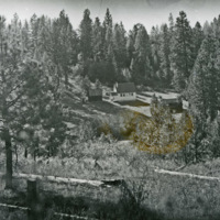 Paradise School