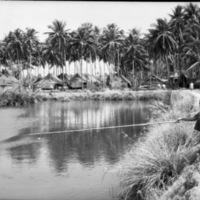 Binmaley Local Fishing 1